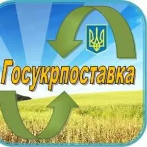 Продам подшипники,  РТИ,  запчасти г.Харьков