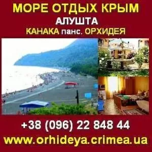 Отдых у моря под Алуштой. Отдых в Крыму,  ЮБК.