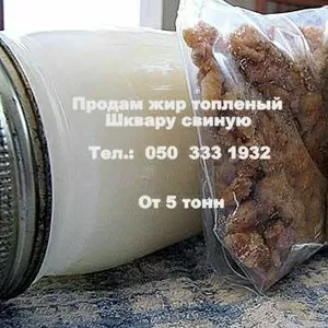 Продам свиной топленый пищевой жир в большом объеме.