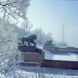 тур петербург новый год,  экскурсия петербург рождество,  туры питер 