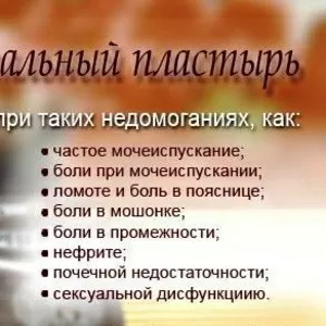 Продам Урологический простатический пластырь Вековой Восток