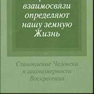 Штайнпах Р. Скрытые взаимосвязи определяют нашу земную жизнь