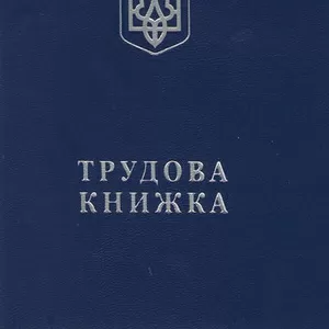 Купить справку о доходах, трудовую книжку