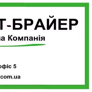 Лицензирование. Получить лицензию. Альт-Брайер.