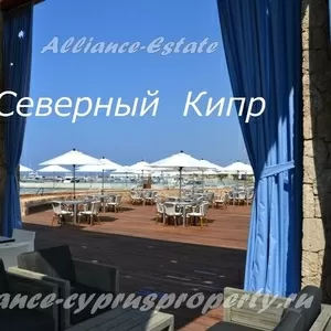 Alliance-Estate недвижимость на Северном Кипре