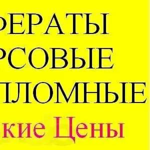 Диссертации,  дипломные,  отчеты о практике.