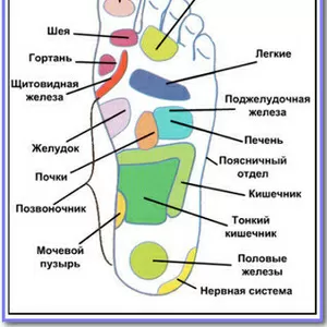 Массаж ног. ( Фут массаж )