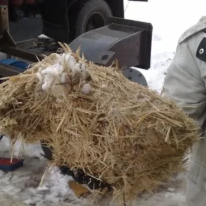 Дробилка для щепы