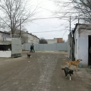 Аренда – склады-производство-офисы ,  г. Николаев,  Широкая Балка