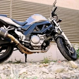 Suzuki SV-2007