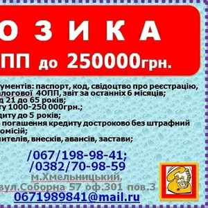 Кредит частным предпринимателям до 250000грн. без залога