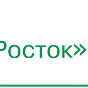 Продаем овощи ООО С-Росток