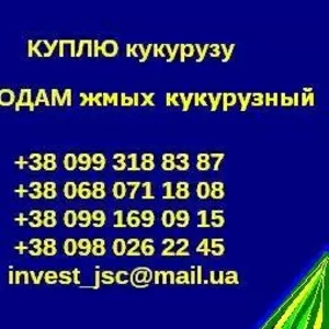 Куплю кукурузу