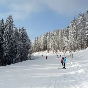 туры буковель на будние дни,  тур буковель семь дней,  буковель неделя