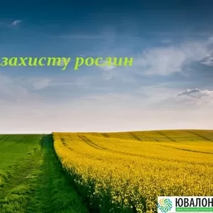 Засоби захисту рослин