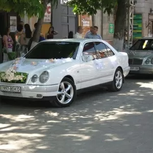 Свадебные машины. Авто на свадьбу Симферополь,  Ялта,  Евпатор НЕДОРОГО!