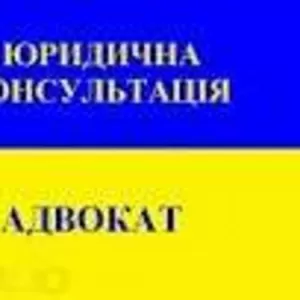 Составление жалоб в Европейский суд по правам человека для физических 