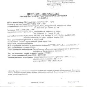 Продажа лука оптом по всей Украине!