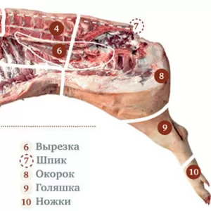 Свиная разделка с Бойни