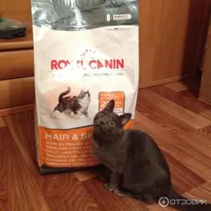 Оригинальные корма для животных фирмы Royal Canin!