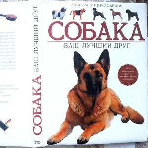 Собака. Ваш лучший друг.  Альбом-энциклопедия Dogs: An Owner's Guide Х