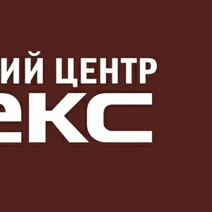 Адвокат. Професійний захист інте­ресів в судах