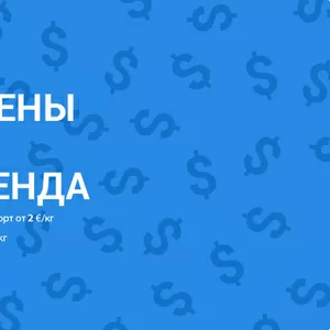 Центр сортировки и оптовой продажи секонд хенд Bonano