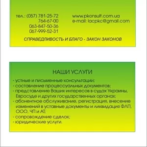 Складання та подання скарг до Європейського суду з прав людини