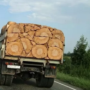 Дрова дуб,  акація,  береза,  сосна,  тополя з доставкою