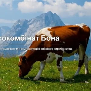 Продам мясо говядины субпродукты оптом