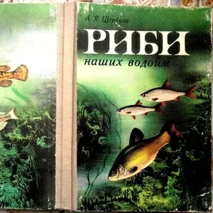 Щербуха А.  Риби наших водойм.  Київ Рад. школа 1987 р