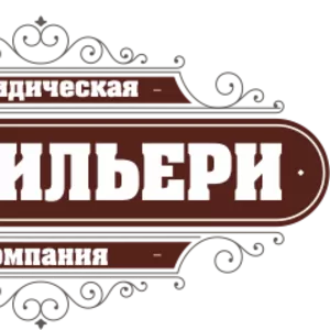 Представительство в государственных органах,  обжалование их действий