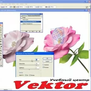 Illustrator. Курсы в Херсоне. Учебный центр Vektor.