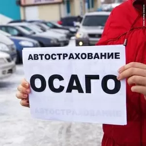 Автогражданка,  Зеленая карта,  скидки до 40%!