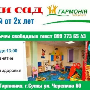 Мини-сад для деток 2-5 лет