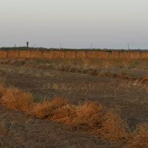 В Частное фермерское хозяйство требуются 