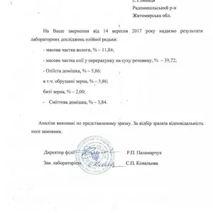 продам олийну редьку