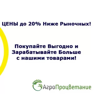 Купить Десикант Дикват М Заря Оптом. Аналог Реглон