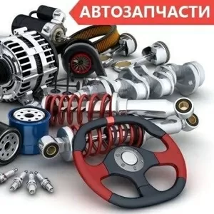 Автозапчасти оптом и в розницу