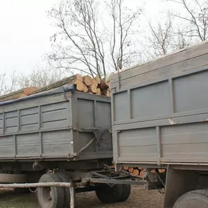 Дрова акации 2000 грн./м.куб