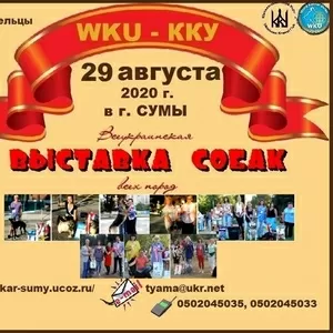 Всеукраинская выставка собак в Сумах 2020