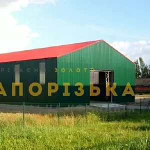 Зерносховища,  ангари,  навіси. Будівництво під ключ.