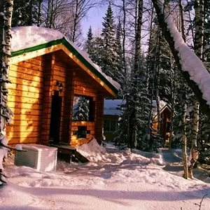 Домики с баней Буковель,  Карпаты,  Поляница