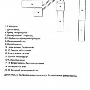 Линия по колке грецкого ореха