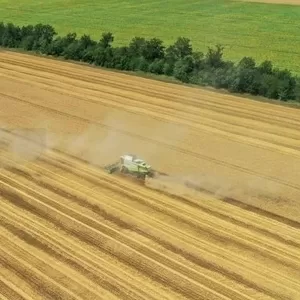 Услуги по уборке урожая комбайнами Житомир, посев, дисковка, аренда комб.