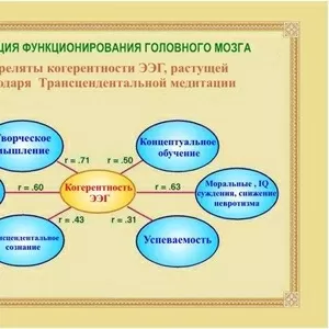 Трансцендентальная Медитация Развитие мозга