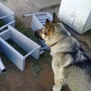 Котел в грубу,  піч,  камін,  лежанку. Водяне опалення. 