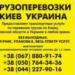 Заказать Газель до 1, 5 тонн 9 куб м Киев область Украина грузчик